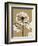 Tonal Chrysanthemum-Albert Koetsier-Framed Art Print