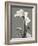 Tonal Cyclamen-Albert Koetsier-Framed Art Print