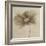 Tonal Flowers II-Emma Forrester-Framed Giclee Print