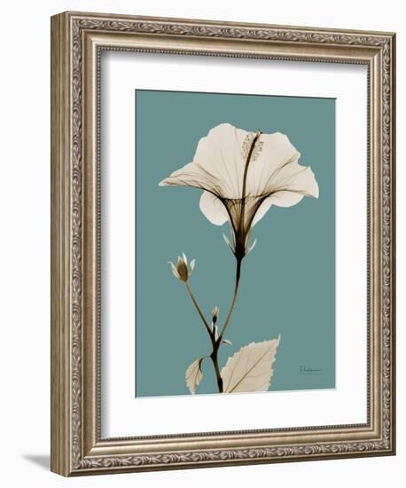 Tonal Hibiscus on Blue-Albert Koetsier-Framed Art Print