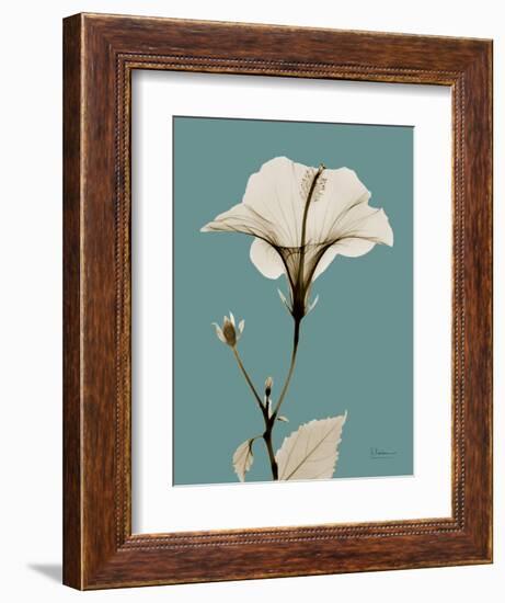 Tonal Hibiscus on Blue-Albert Koetsier-Framed Art Print