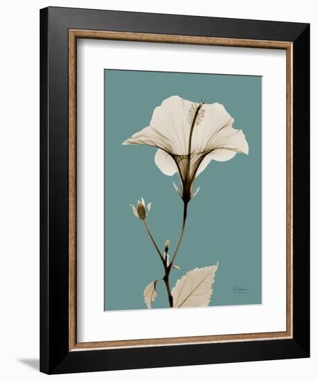 Tonal Hibiscus on Blue-Albert Koetsier-Framed Art Print