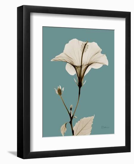 Tonal Hibiscus on Blue-Albert Koetsier-Framed Art Print