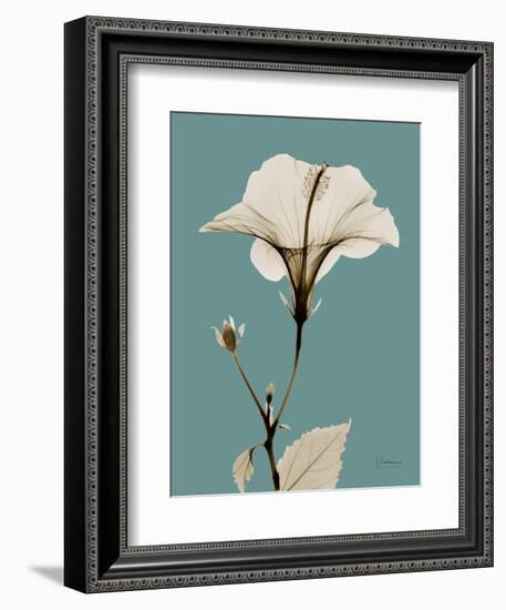 Tonal Hibiscus on Blue-Albert Koetsier-Framed Art Print