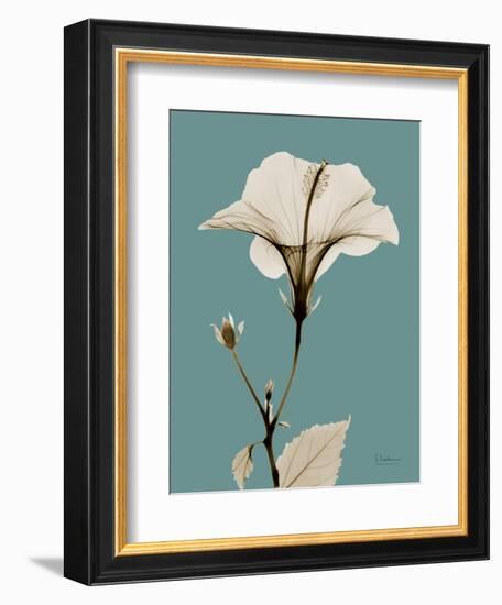 Tonal Hibiscus on Blue-Albert Koetsier-Framed Art Print