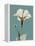 Tonal Hibiscus on Blue-Albert Koetsier-Framed Stretched Canvas