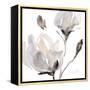 Tonal Magnolias I-Lanie Loreth-Framed Stretched Canvas