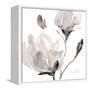 Tonal Magnolias I-Lanie Loreth-Framed Stretched Canvas