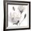 Tonal Magnolias I-Lanie Loreth-Framed Premium Giclee Print