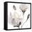 Tonal Magnolias I-Lanie Loreth-Framed Stretched Canvas