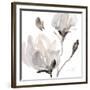 Tonal Magnolias I-Lanie Loreth-Framed Giclee Print