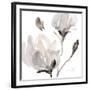 Tonal Magnolias I-Lanie Loreth-Framed Giclee Print