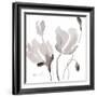 Tonal Magnolias II-Lanie Loreth-Framed Art Print