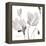 Tonal Magnolias II-Lanie Loreth-Framed Stretched Canvas