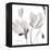 Tonal Magnolias II-Lanie Loreth-Framed Stretched Canvas