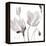 Tonal Magnolias II-Lanie Loreth-Framed Stretched Canvas