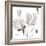 Tonal Magnolias II-Lanie Loreth-Framed Premium Giclee Print