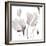 Tonal Magnolias II-Lanie Loreth-Framed Premium Giclee Print