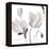 Tonal Magnolias II-Lanie Loreth-Framed Stretched Canvas