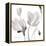 Tonal Magnolias II-Lanie Loreth-Framed Stretched Canvas