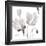 Tonal Magnolias II-Lanie Loreth-Framed Giclee Print