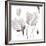 Tonal Magnolias II-Lanie Loreth-Framed Giclee Print