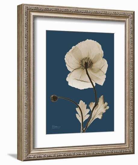 Tonal Poppy on Navy-Albert Koetsier-Framed Art Print