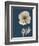 Tonal Poppy on Navy-Albert Koetsier-Framed Art Print