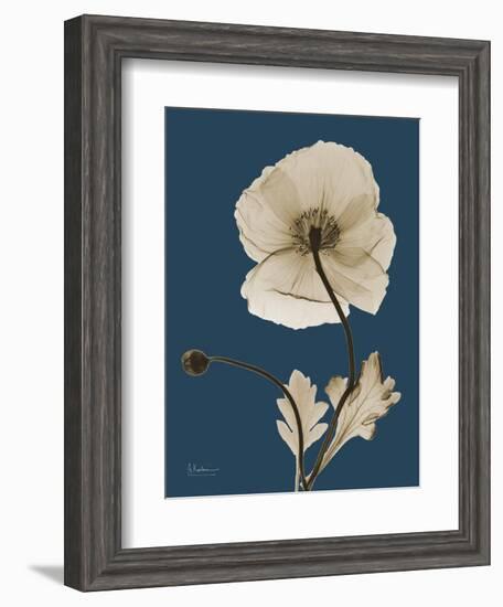 Tonal Poppy on Navy-Albert Koetsier-Framed Art Print