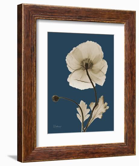 Tonal Poppy on Navy-Albert Koetsier-Framed Art Print