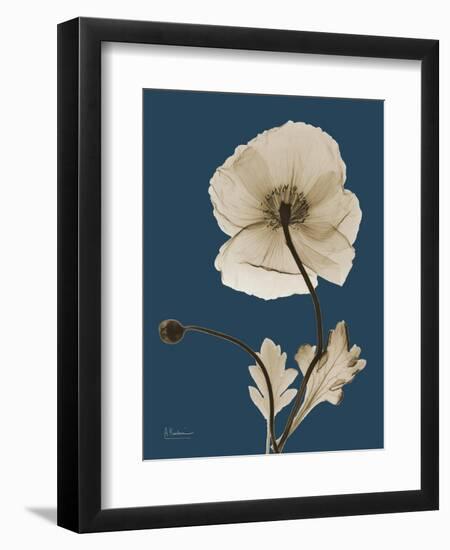 Tonal Poppy on Navy-Albert Koetsier-Framed Art Print