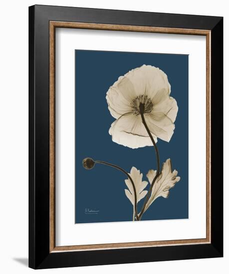 Tonal Poppy on Navy-Albert Koetsier-Framed Art Print