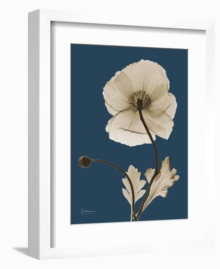 Tonal Poppy on Navy-Albert Koetsier-Framed Art Print