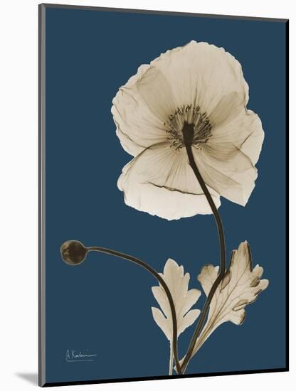 Tonal Poppy on Navy-Albert Koetsier-Mounted Art Print