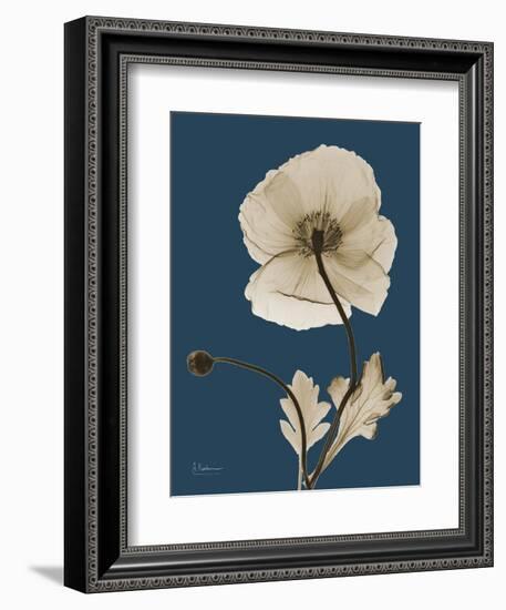 Tonal Poppy on Navy-Albert Koetsier-Framed Art Print