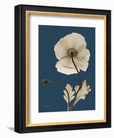 Tonal Poppy on Navy-Albert Koetsier-Framed Art Print