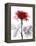 Tonal Rose on White-Albert Koetsier-Framed Stretched Canvas