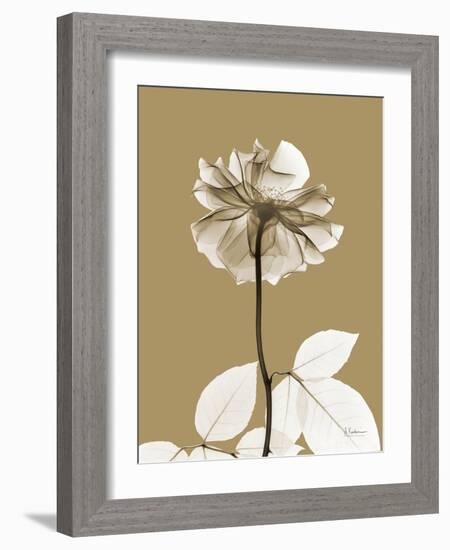 Tonal Rose-Albert Koetsier-Framed Art Print