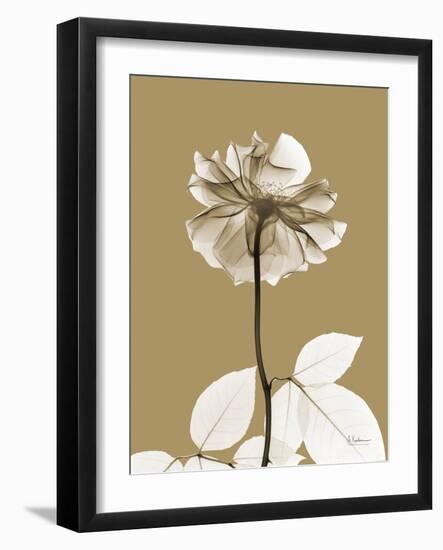 Tonal Rose-Albert Koetsier-Framed Art Print