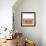 Tonal Woodblock in Coral II-Vision Studio-Framed Art Print displayed on a wall