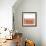 Tonal Woodblock in Coral II-Vision Studio-Framed Art Print displayed on a wall