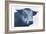 Tone And Tonal Bull-Sheldon Lewis-Framed Art Print