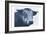 Tone And Tonal Bull-Sheldon Lewis-Framed Art Print