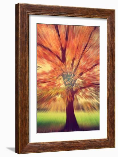 Tones and Rhythm-Philippe Sainte-Laudy-Framed Photographic Print