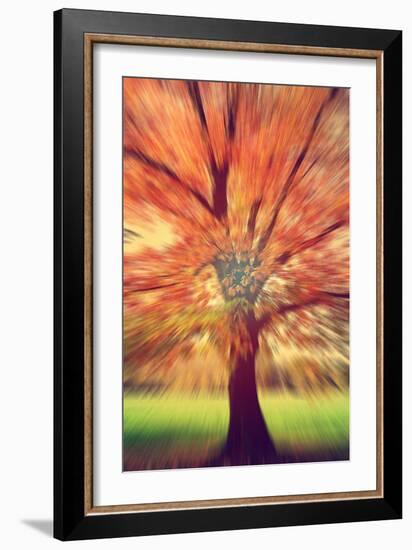 Tones and Rhythm-Philippe Sainte-Laudy-Framed Photographic Print