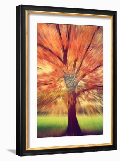 Tones and Rhythm-Philippe Sainte-Laudy-Framed Photographic Print