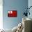 Tonga Flag Design with Wood Patterning - Flags of the World Series-Philippe Hugonnard-Framed Stretched Canvas displayed on a wall