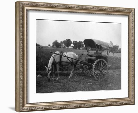 Tonga (Horse Car), Muttra, India, 1917-null-Framed Giclee Print