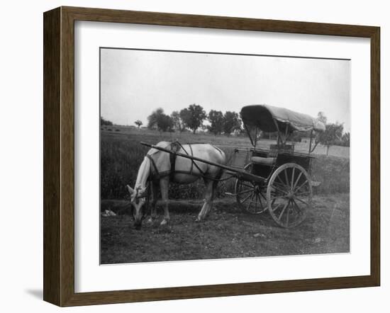 Tonga (Horse Car), Muttra, India, 1917-null-Framed Giclee Print