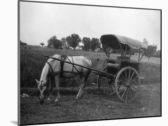 Tonga (Horse Car), Muttra, India, 1917-null-Mounted Giclee Print